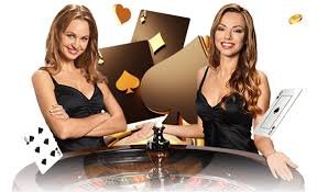 video tutorial VIP Roulette video tutorial VIP Roulette